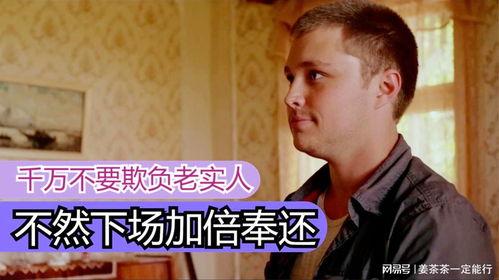 农夫电影网,探寻乡村生活的魅力与温情