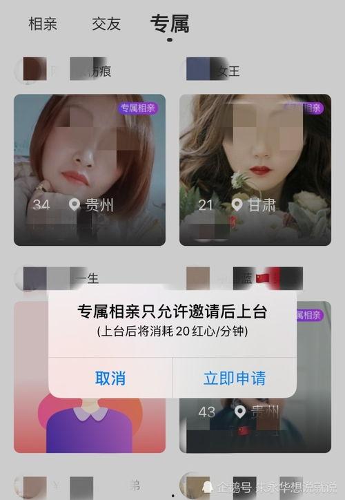 性爱聊天直播间,暗流涌动的虚拟世界