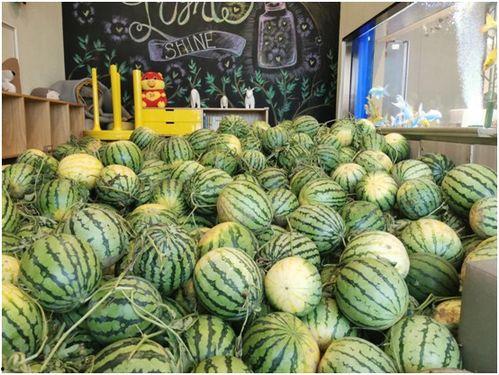 17c今日吃瓜精品,娱乐圈最新热点大揭秘