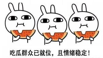 娱乐吃瓜酱晚安蠢蛋